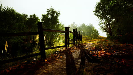 old-wooden-fence-and-dirt-road-in-the-countryside-at-summer-season