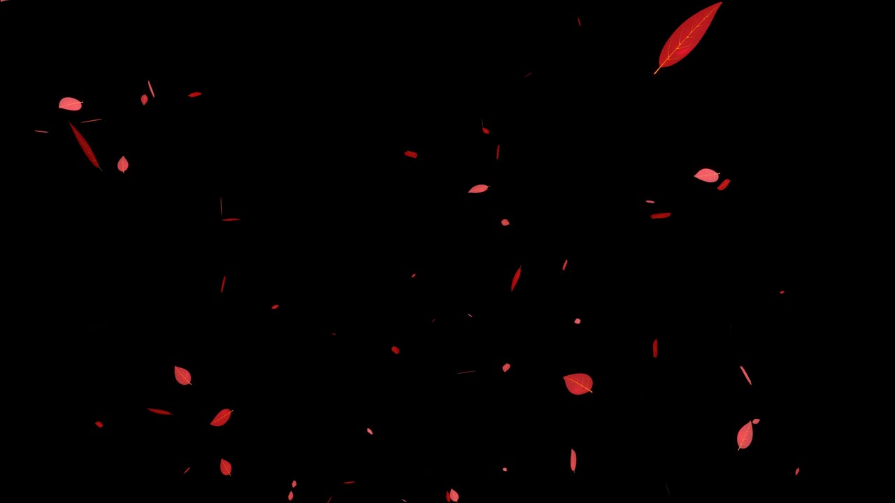 죽은 잎, 빨간 잎, 가을 잎, 어나오는 입자, 모션 그래픽