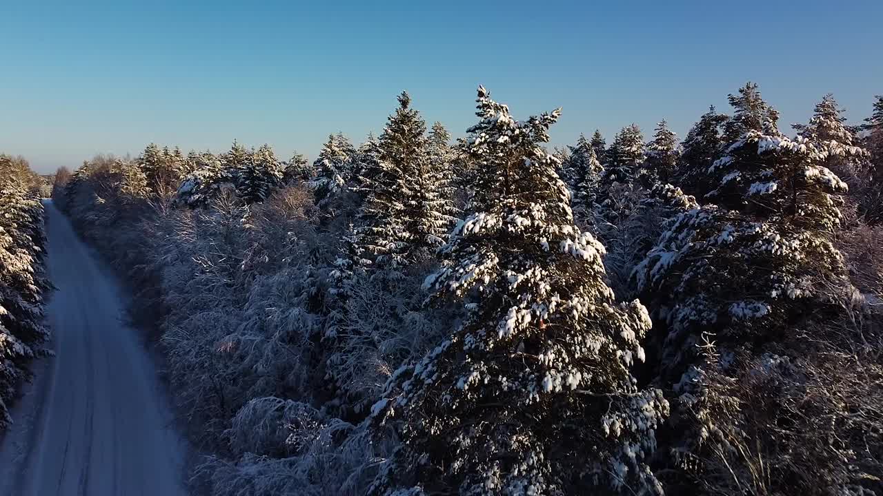Vakkert naturskjønt luftfoto av en vinterkog på en solrik vinterdag, trær dekket med nysnø, is- og snødekket vei, vidvinkel sakte stigende droneopptak som beveger seg fremover