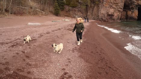 running with two cute pugs on the shores of lake superior on the north shore