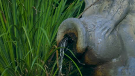 Tolles-Gras,-Keine-Leute,-Sauberer-Wasserbrunnen