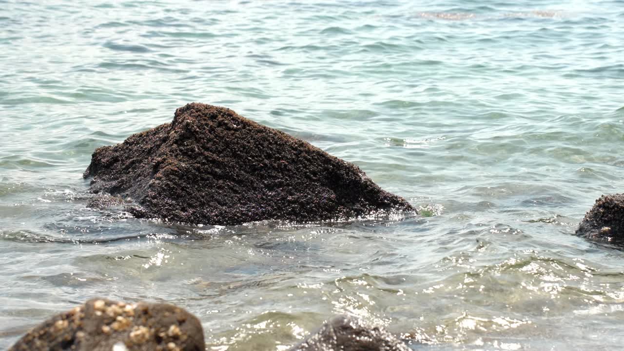 Scogli della costa rocciosa che emergono dalla superficie del mare