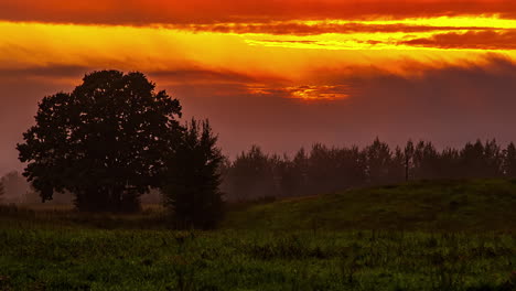 toma estática de la puesta de sol en lapso de tiempo a través de nubes oscuras sobre pastizales verdes con la vista del bosque en el fondo durante el día de primavera al atardecer