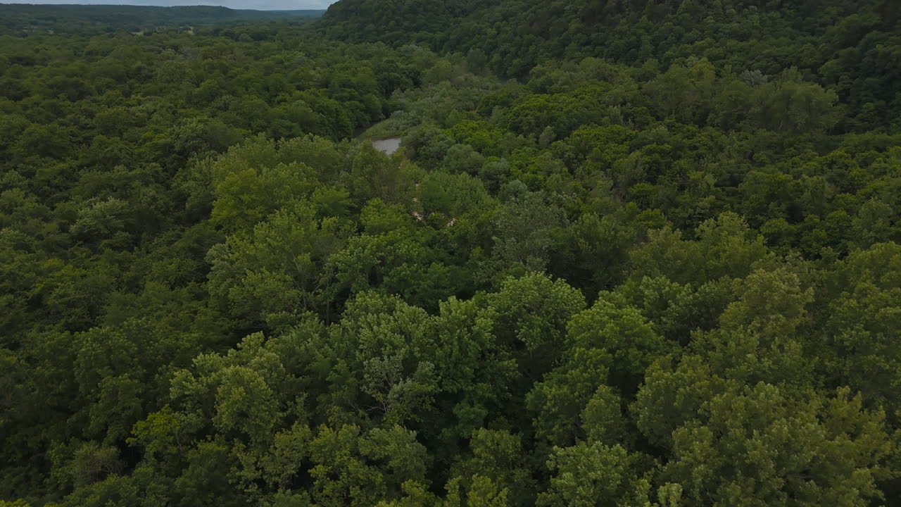 Thick green forest canopy surrounding the lake as soft sunlight filters through dense clouds, aerial tilt up