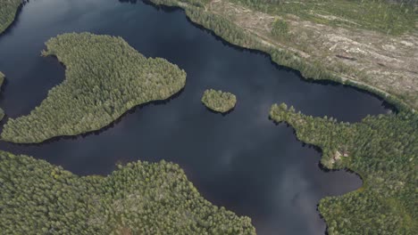 lagos y bosques del bosque noruego