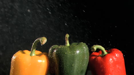 pimientos coloridos en súper cámara lenta estando mojados