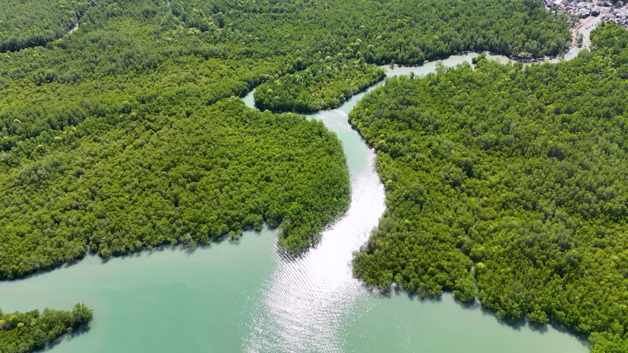 Drone footage captures lush mangrove forests and winding rivers in Phang Nga, Thailand, under bright sunlight, showcasing natural beauty and tranquility