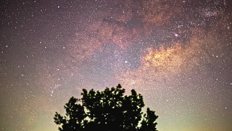 Lapso-De-Tiempo-Del-Cielo-Nocturno-Con-La-Galaxia-De-La-Vía-Láctea-Y-Las-Estrellas-Fugaces-También-Una-Silueta-De-árbol-En-Primer-Plano