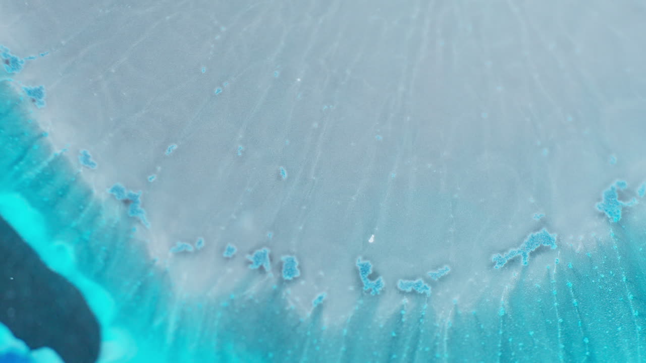 Blue turquoise ink expansion in a fluid background