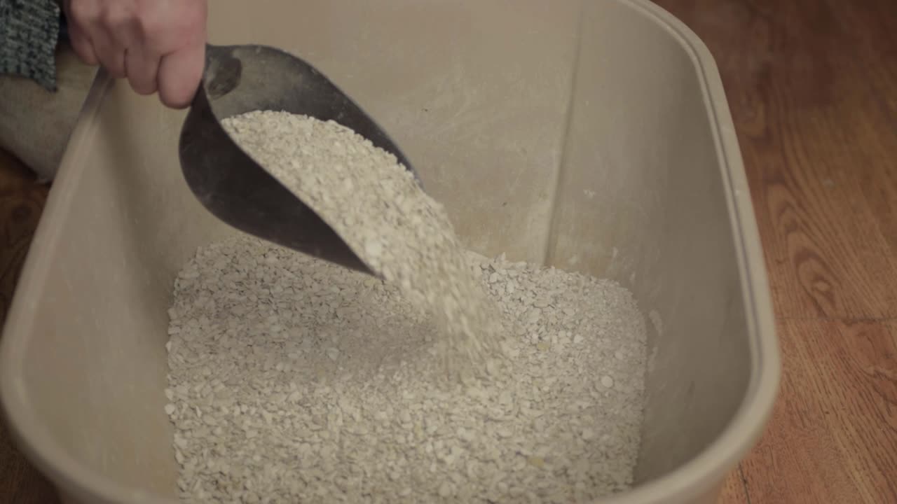 Hand of pet owner scooping cat litter into cat litter tray