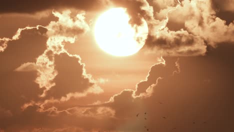 sol y nubes con siluetas de pájaros volando en la distancia