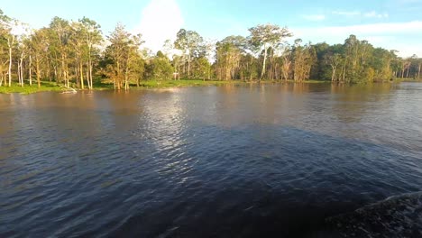 Der-Blick-Auf-Den-Amazonas-Regenwald-Von-Einem-Boot-Aus,-Das-Auf-Dem-Fluss-Fährt