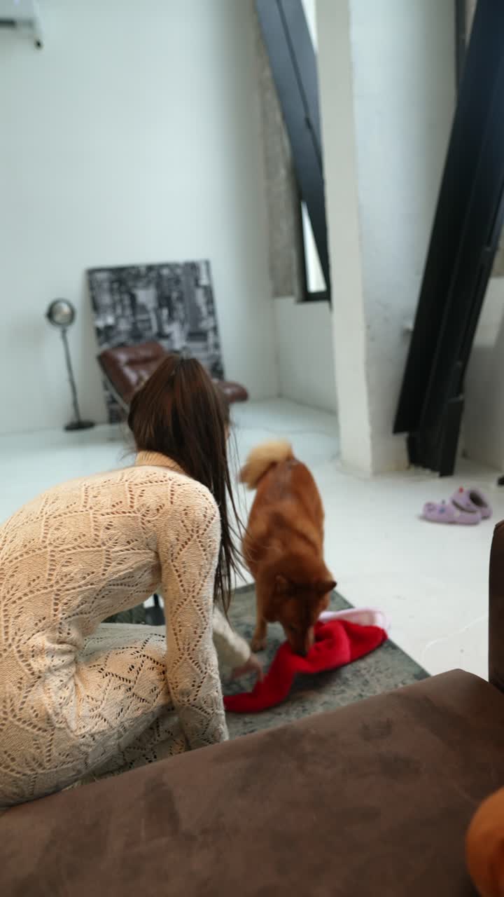 산타 모자와 놀고 있는 여자와 개