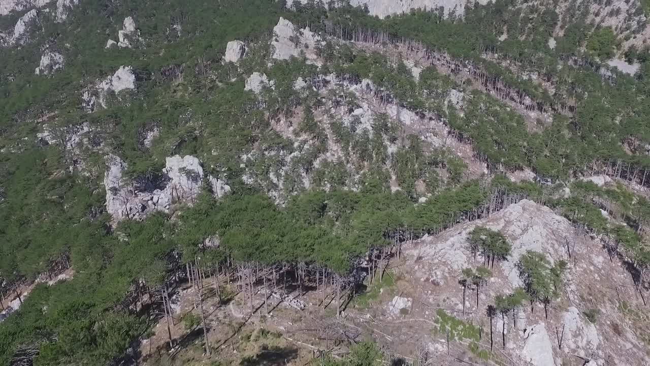vista aérea del bosque de montaña dañado
