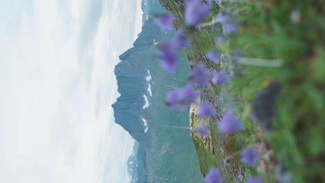Vista-Vertical-De-Flores-Campanula-Con-Breitinden-Al-Fondo-En-Noruega