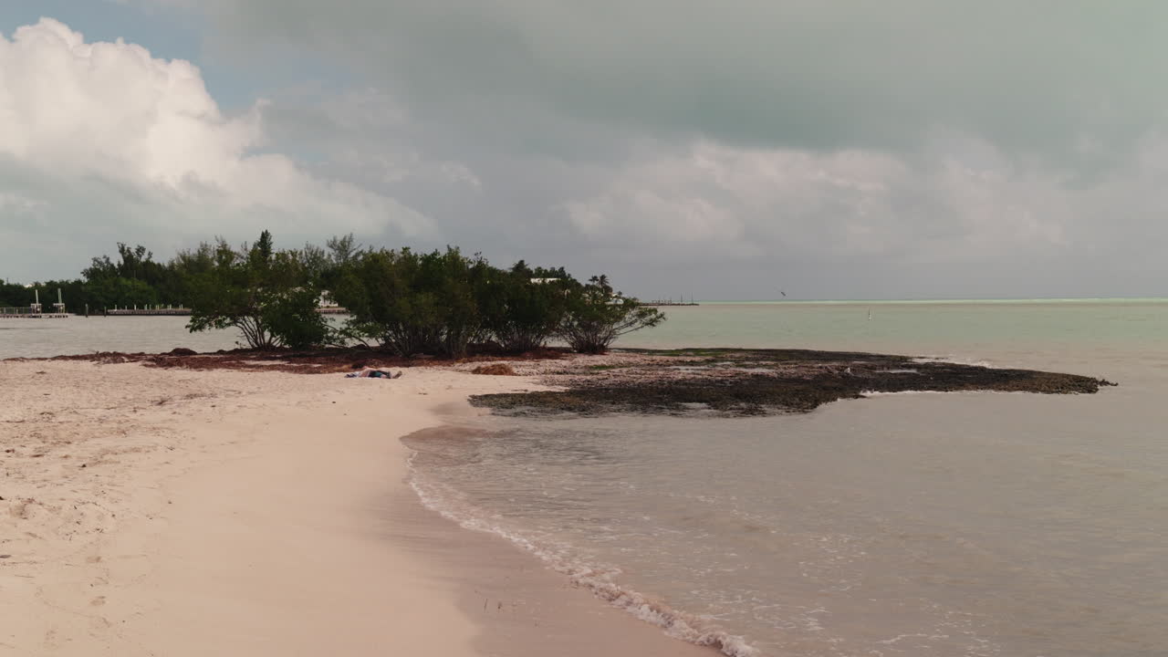 Tropical Beach Scene with Person Relaxing
