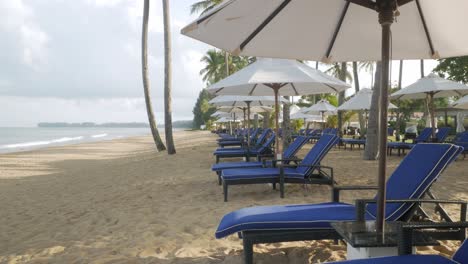 view of the luxury beach lounge beds with umbrella on white sand beach from the sea