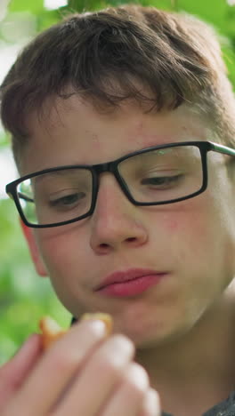 primer plano de un niño con gafas y camiseta gris comiendo un bocadillo tranquilamente bajo un árbol, aparece profundamente en pensamiento, rodeado de hojas verdes exuberantes en un ambiente al aire libre tranquilo