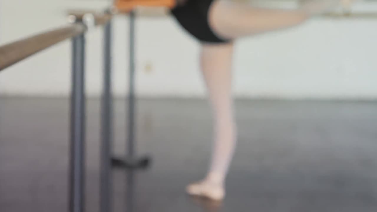 발레 춤 을 연습 하는 발레리나