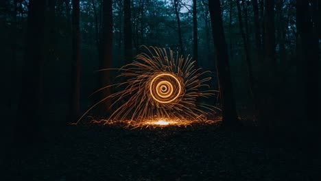 A Mesmerizing Display of Sparkling Light Trails and Glowing Patterns in a Serene Forest Environment Captured During Twilight Hours