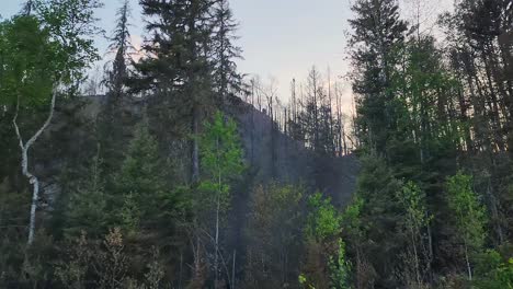 Driving-by-burning-forest-in-Sudbury-Ontario-Canada-Kirkland-lake