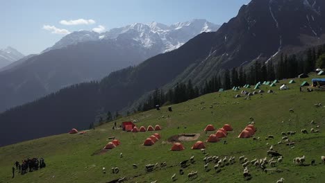 Amazing-Hillside-Landscape-In-Sar-Pass,-Parvati-Valley,-India---aerial-shot