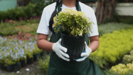 gardener posing outdoors