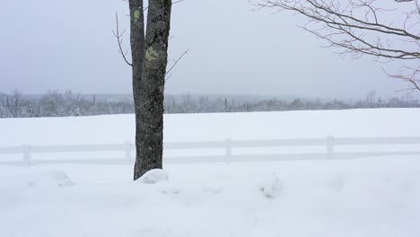 沿著白<unk>圍<unk>在雪覆蓋的田野邊緣的空中滑動,在暴風雪中慢慢移動過兩棵樹