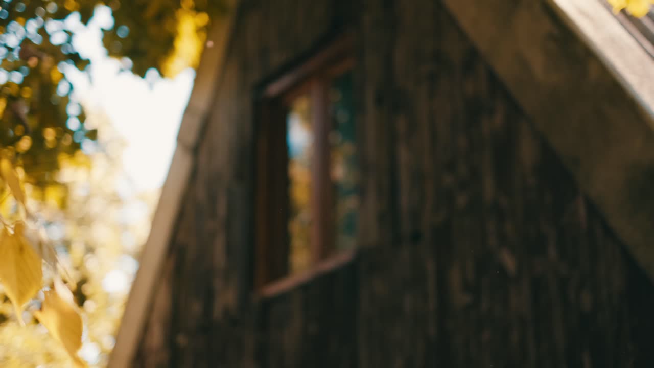 샬레 앞의 나무들과 노란 잎사귀들