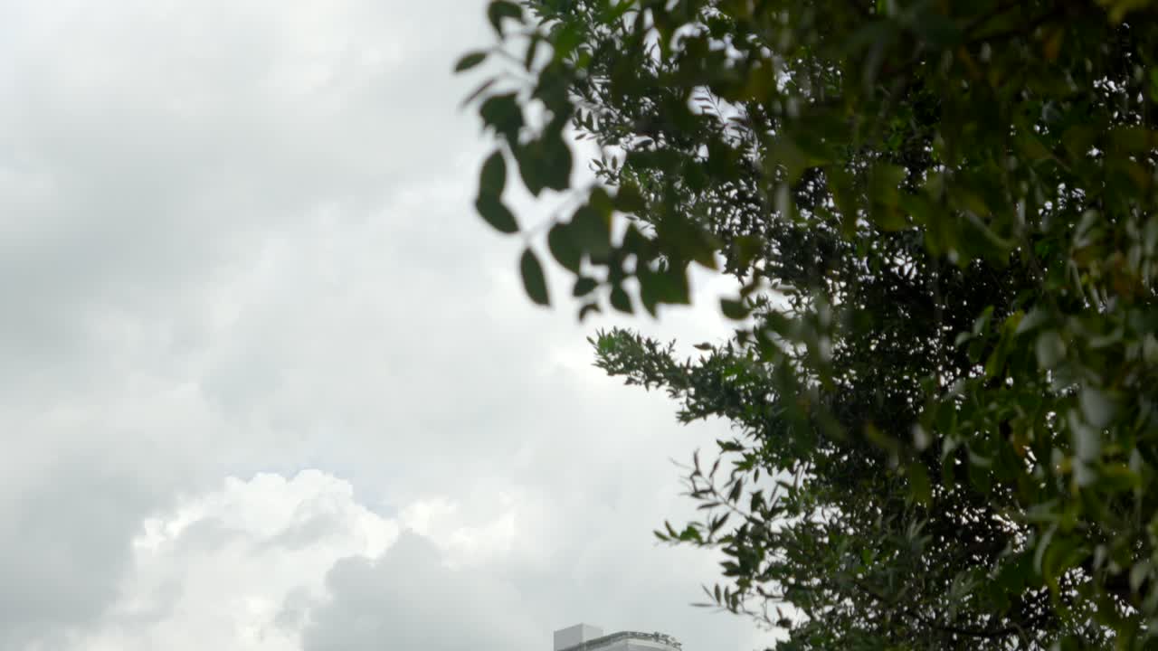 싱가포르 베이프론트 마리나 베이 스카이파크 가든 틸트 뷰