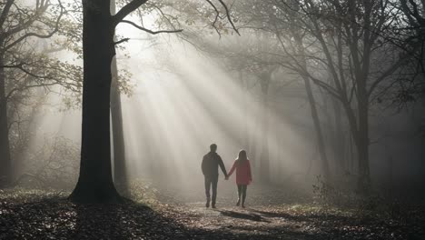 couple walking hand in hand through a misty forest with sun rays