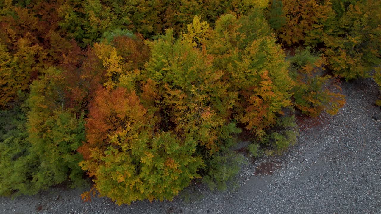paleta de colores otoñales en un hermoso valle alpino con hojas doradas