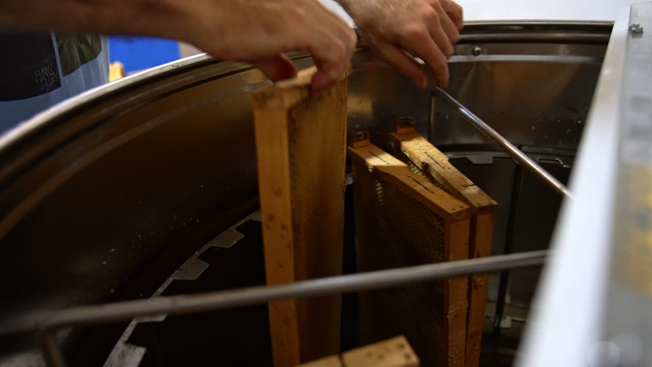 Male apiculturist putting the frames into the centrifuge apparatus for honey extraction. Gathering organic product at apiary.