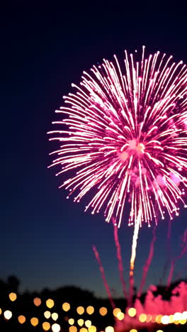 stunning fireworks display at night