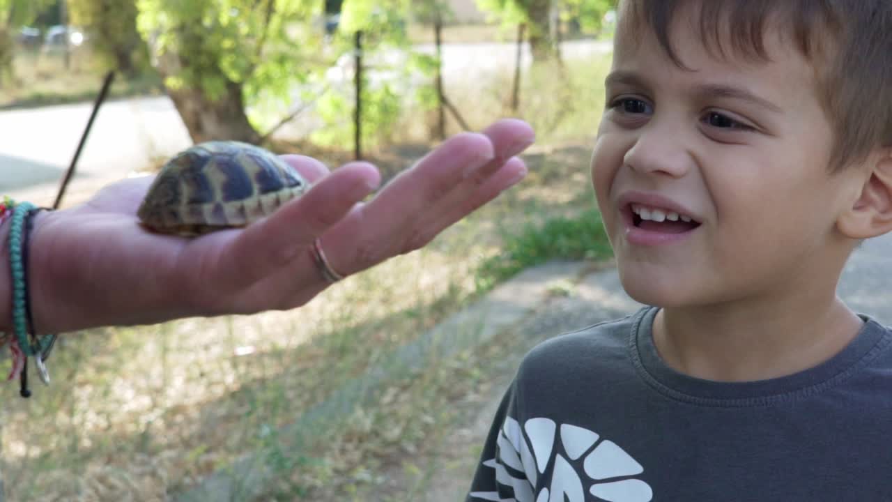lindo niño caucásico, mirando a una tortuga leopardo bebé que descansa en las manos de su madre, de cerca en cámara lenta