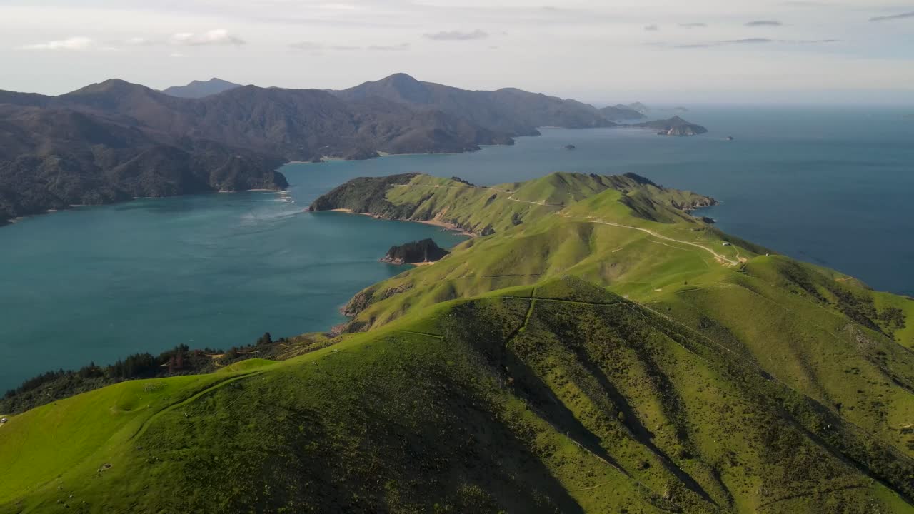 hermoso paisaje costero aéreo de fiordo, colina de pastos verdes e isla boscosa en marlborough sounds, nueva zelanda