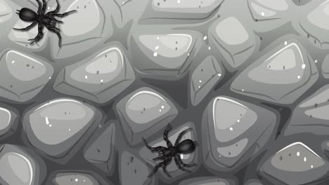 spiders moving across a textured stone surface