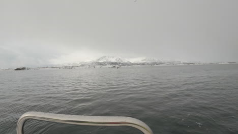 white-tailed eagle, also known as a sea eagle dives down off the side of the boat on a cloudy day in norway with some beautiful snow capped mountains in the background