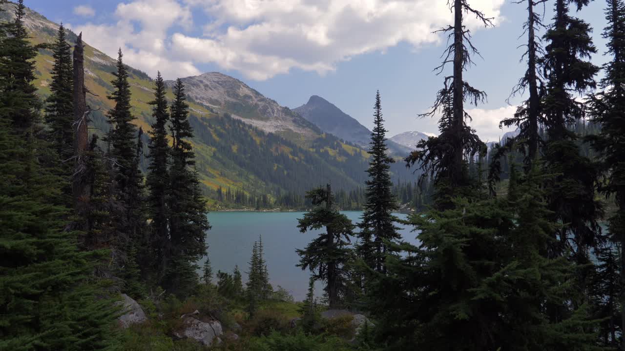 Alpine Lake And Pine Forest Along Marriott Basin Trail. Wendy Thompson Hut Hike Near Birken, BC, Canada. static shot