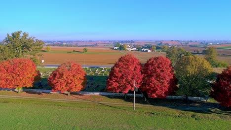 Eine-Drohnenansicht-Einer-Reihe-Von-Herbstbäumen-Mit-Leuchtend-Orangefarbenen-Und-Roten-Blättern,-Die-An-Einem-Hellen-Sonnigen-Morgen-über-Ackerland-Blicken