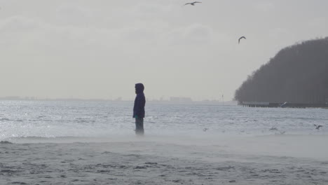 a lone person stands on the shore and looks ahead