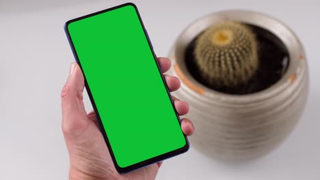 tocando y sosteniendo un teléfono inteligente de pantalla verde