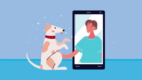 dog video call with a person