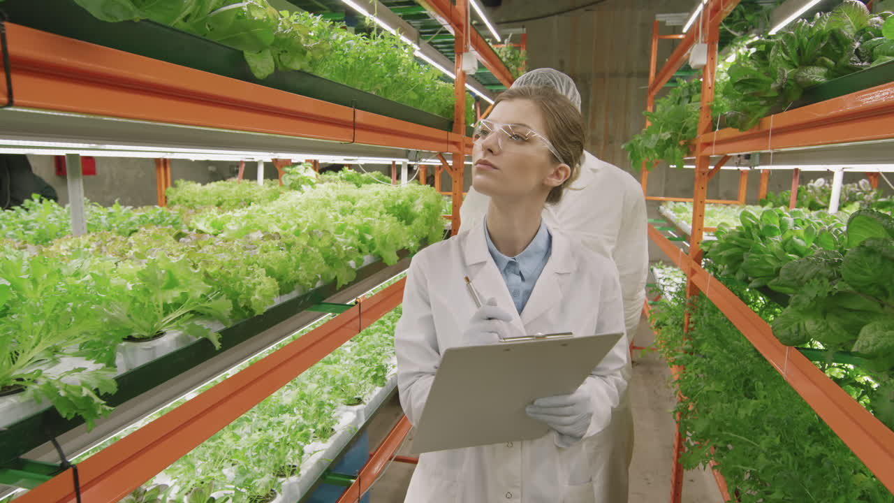 Couple Of Agroengineers Walking Along Vertical Farm