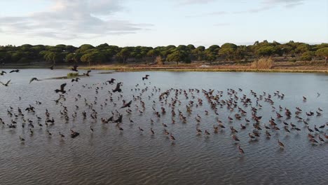 Melides-Dusk-Drohnenaufnahme-In-Portugal