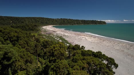 Drohnenflug-über-Den-Einheimischen-Rimu-Regenwald,-Um-Einen-Wunderschönen-Strand-Freizulegen