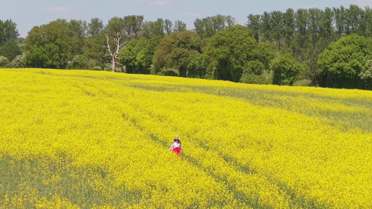 Cinematic footage following a woman in a white and red dress walking through the yellow blooming countryside near London