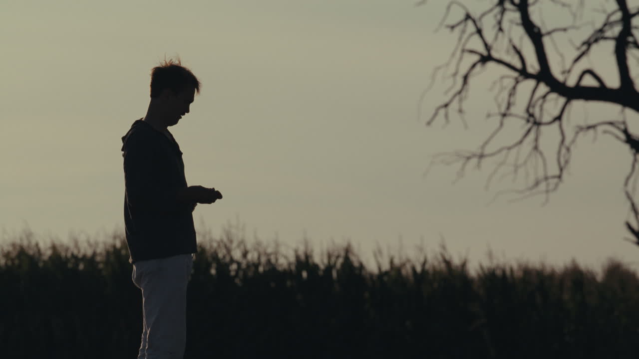 Silhouette of a person standing in a field at dusk
