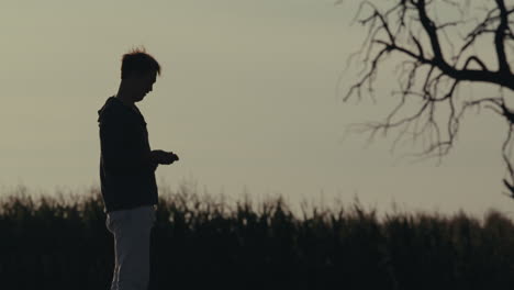 silhouette of a person standing in a field at dusk