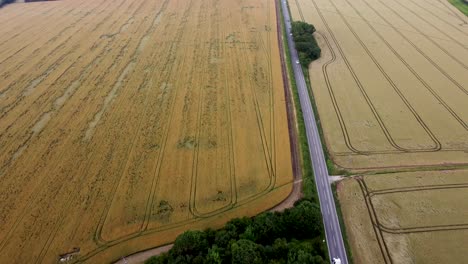 4K-drone-video-of-a-country-road-between-two-fields-of-wheat